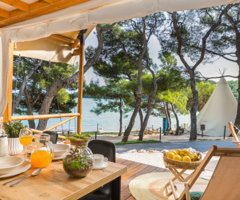 Black Friday: Arena One 99 Glamping