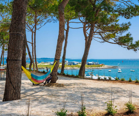 Camping Special Arena Stupice Campsite