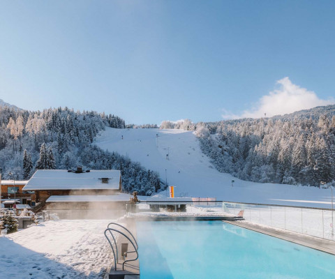 Prenotazione anticipata Arena Franz Ferdinand Nassfeld