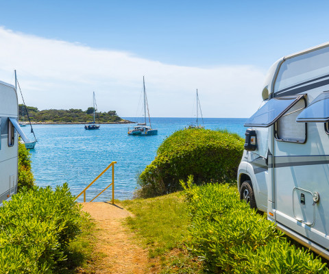 Summer Camping Special