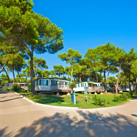 Arena Indije Camping Homes