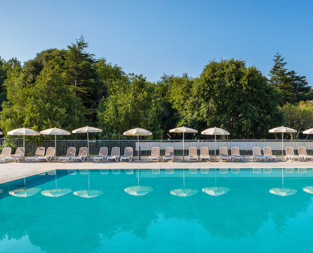 Arena Hotel Holiday