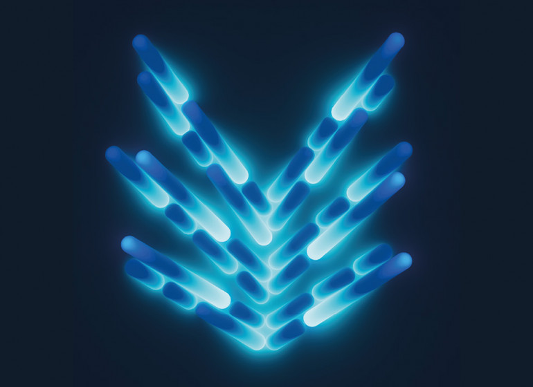 Visualia Festival Of Light