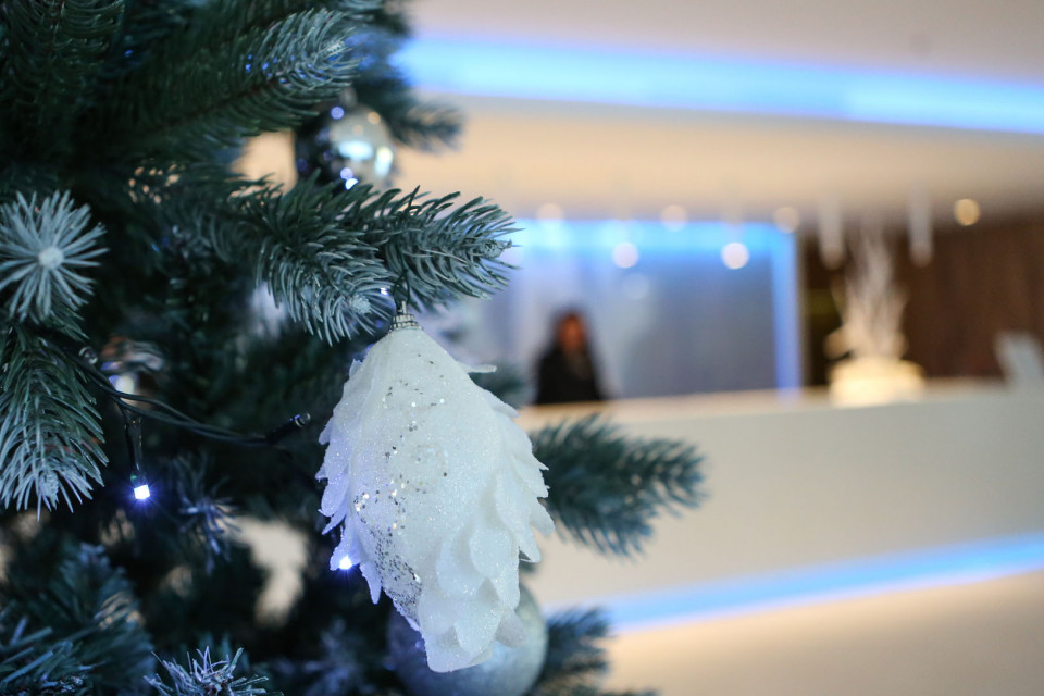 Park Plaza Belvedere_Christmas