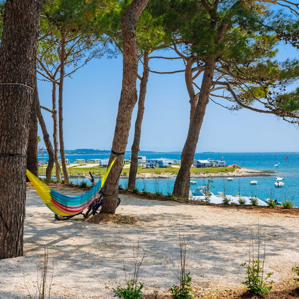 Camping Special Arena Stupice Campsite