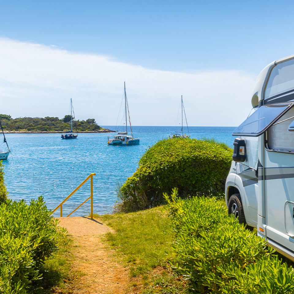 Summer Camping Special