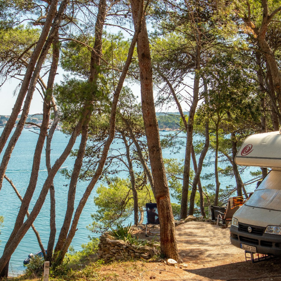 Camping Special Arena Tašalera Campsite